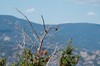 2019-08-12 to 2019-08-17 Colorado 069